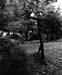 Clothesline