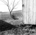 Farmstead,