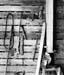 Corncrib