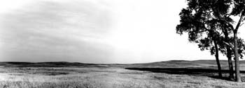 1880