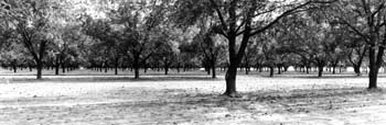1880