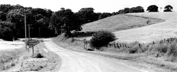 1928